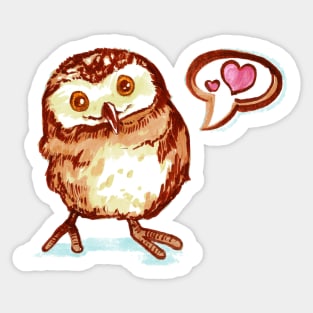 Baby's First Owl Sticker